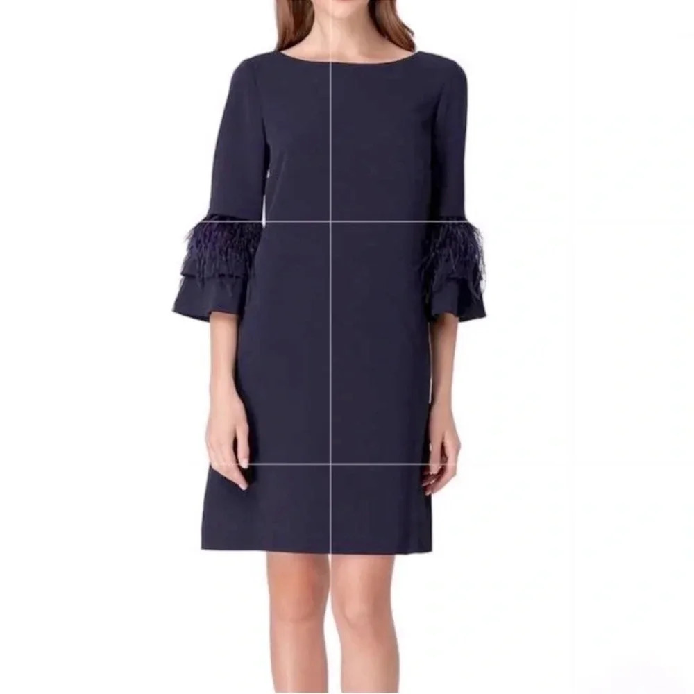 Tahari ASL Feather Time 3/4 Sleeve Dress black tie mother of the bride luxury